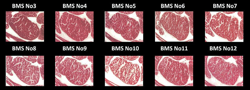 Understanding Wagyu Beef Marbling: The Ultimate Guide