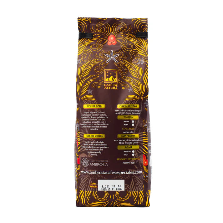 Premium Whole Bean Coffee - 16 oz