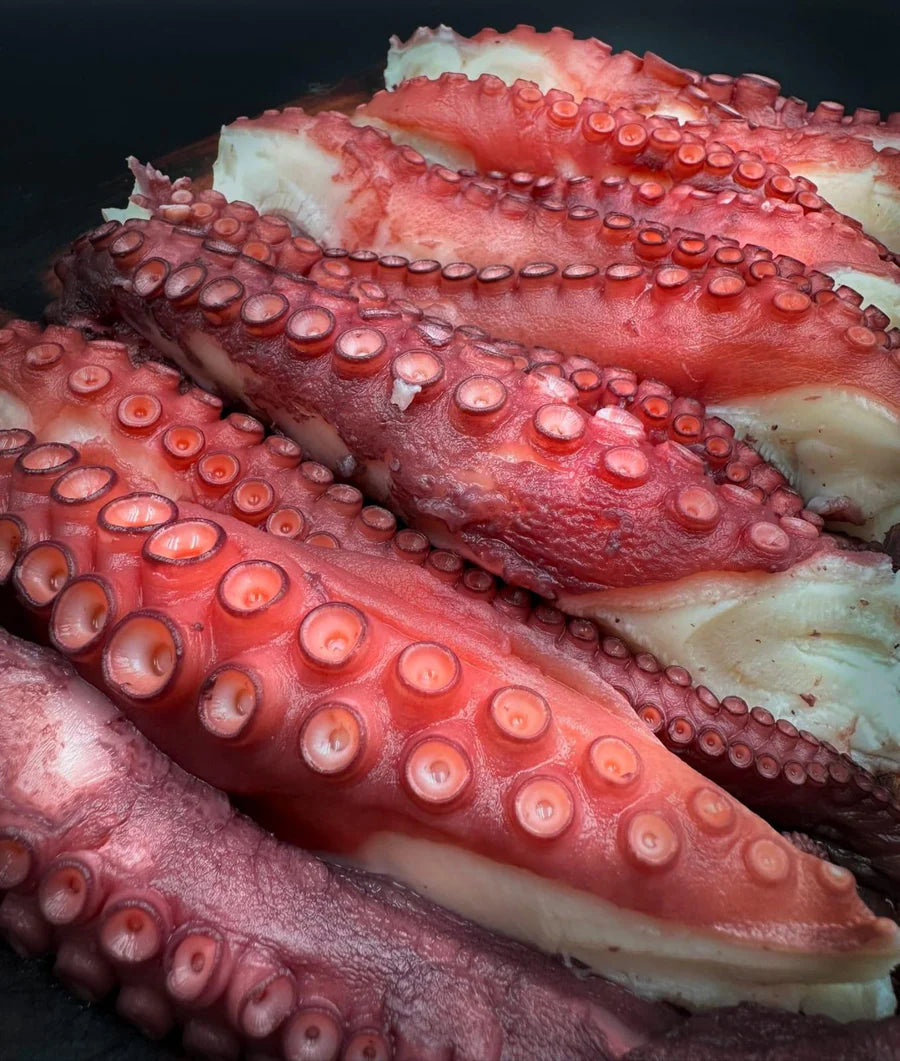 Gourmet Cooked Octopus Tentacles
