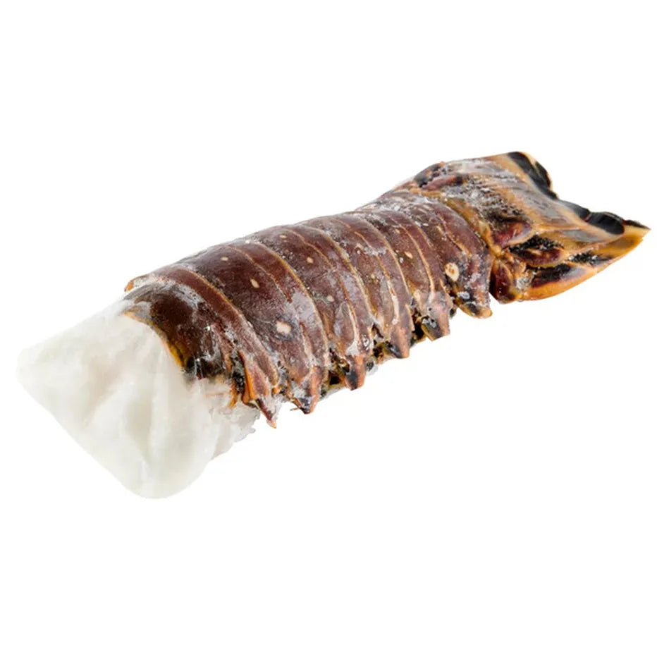 Wild Caught Warm Water Lobster Tail (6 oz)