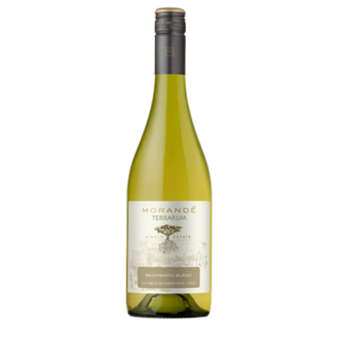 Morande Terrarum Single Estate Sauvignon Blanc - Maipo Alto Valley