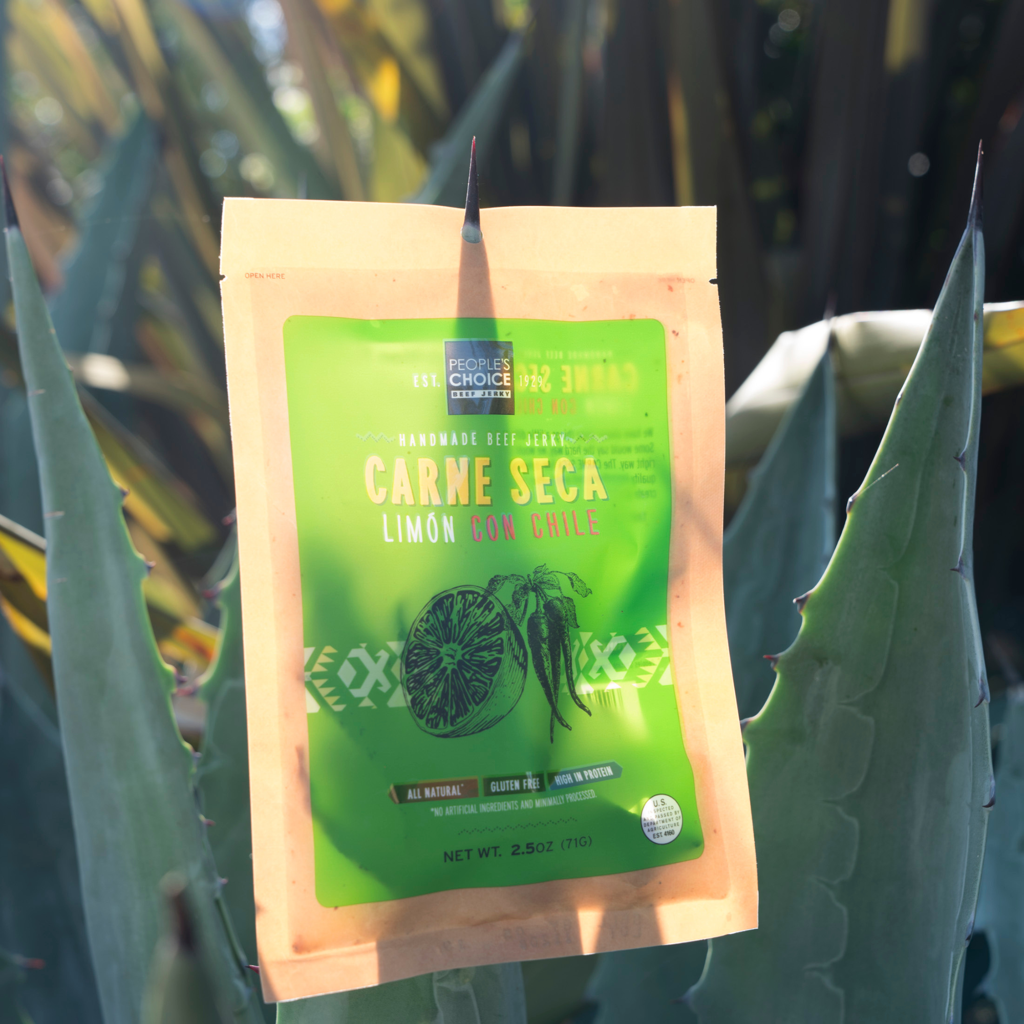 Carne Seca - Limon Con Chile Beef Jerky 2.5oz