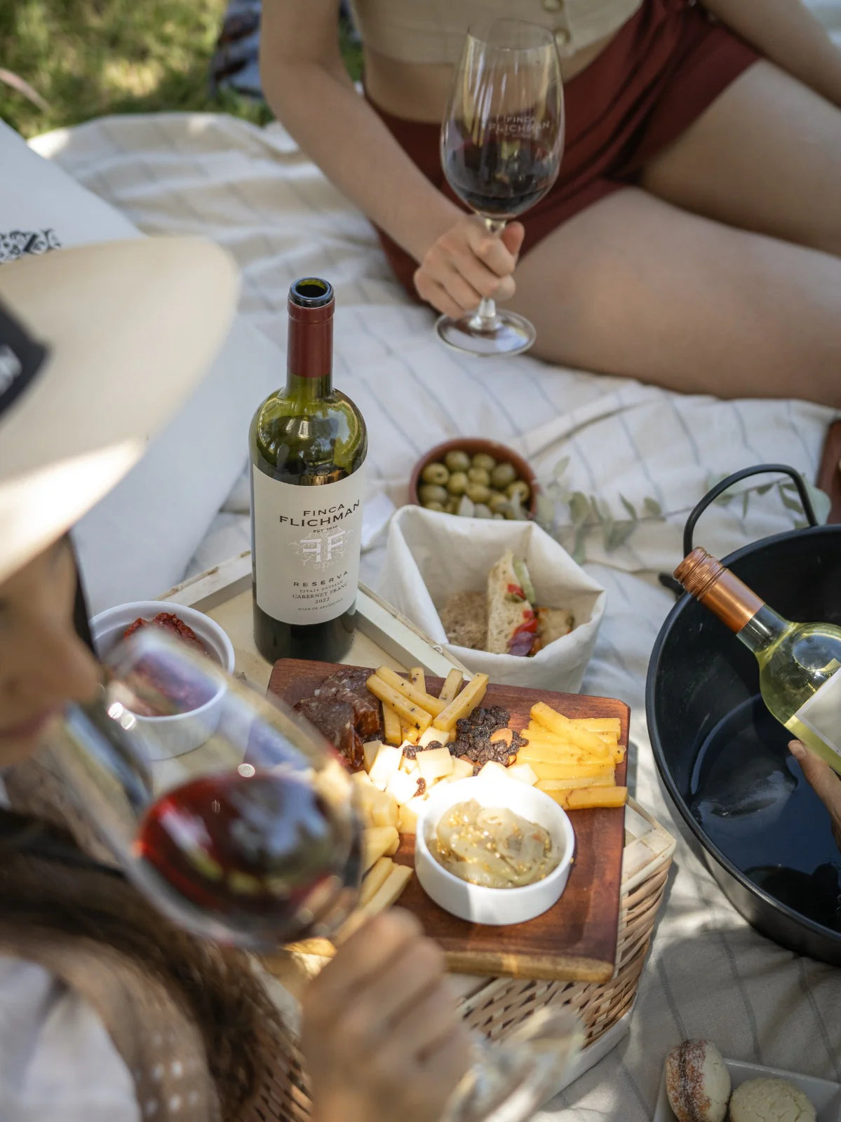 Finca Flichman Cabernet Franc - Mendoza