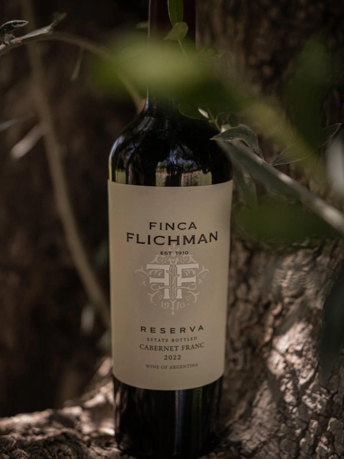 Finca Flichman Cabernet Franc - Mendoza