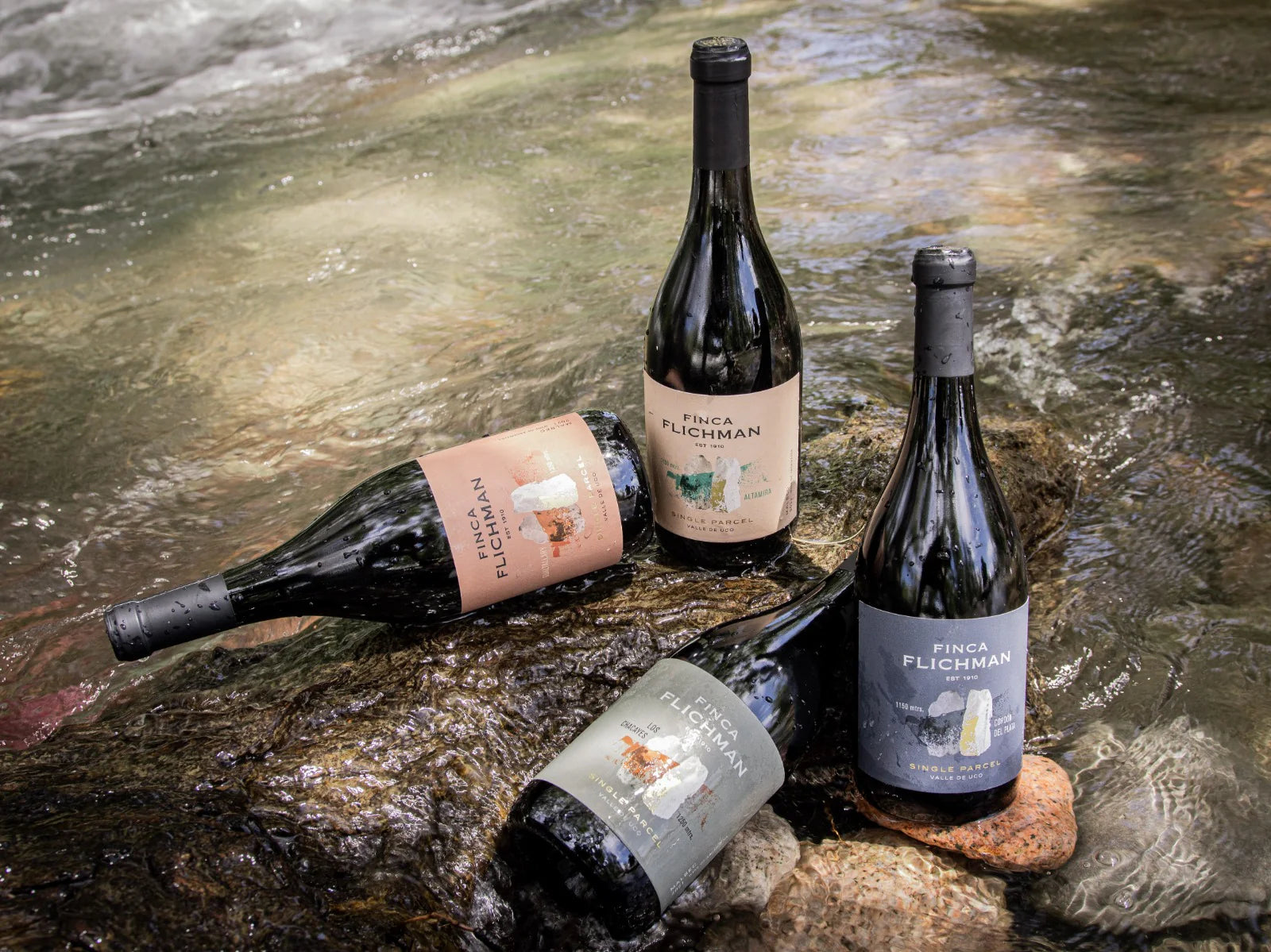 Finca Flichman Single Parcel Gualtallary Valle de Uco - Mendoza