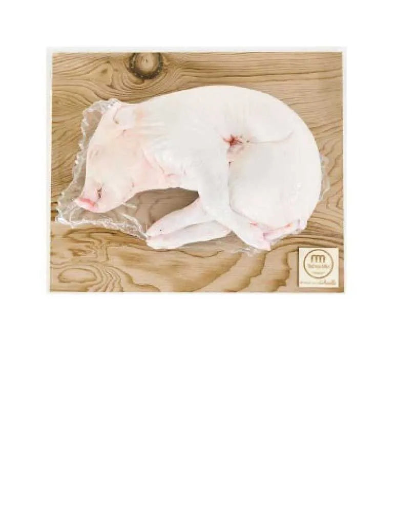 Cochinillo Blanco / Suckling Pig (pre-orders only)